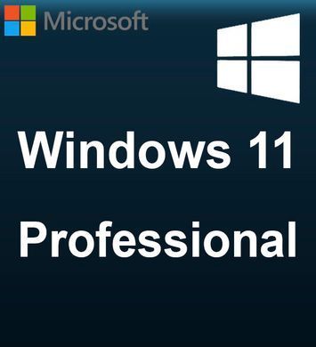 Windows 11 Pro FQC-091312 фото