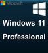 Windows 11 Pro FQC-091312 фото 2