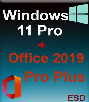 Windows 11 Professional + Office 2019 Pro Plus