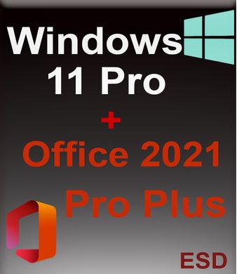 Windows 11 Professional + Office 2021 Pro Plus